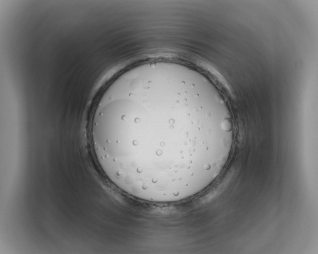 X0000111680978200907241229