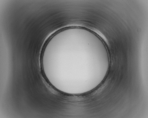 X0000111680980200907241229