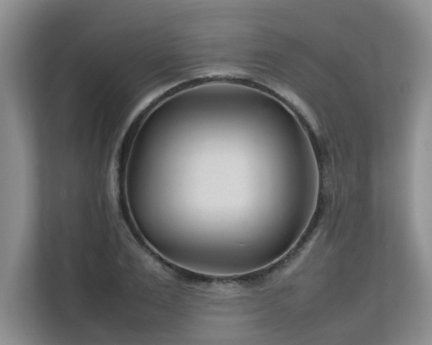 X0000111680983200907241229