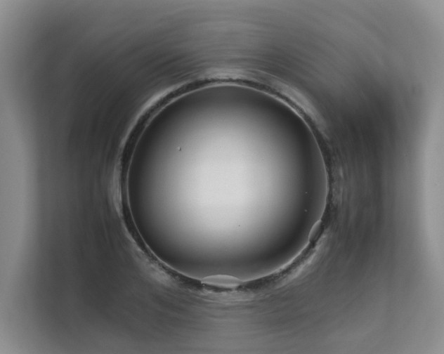 X0000111680984200907241229