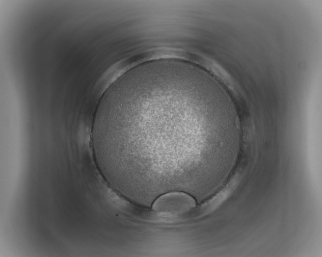 X0000111680985200907241229