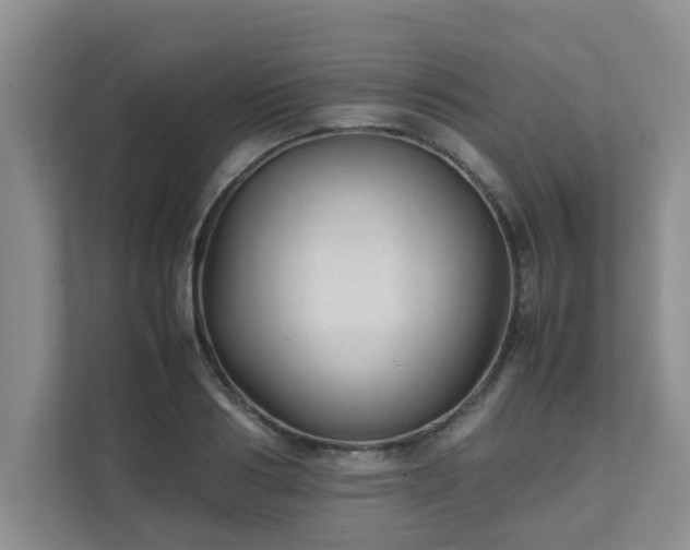 X0000111680986200907241229