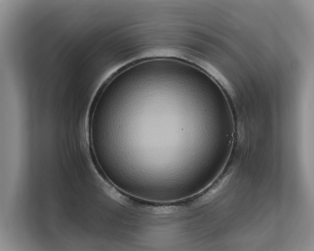 X0000111680988200907241229