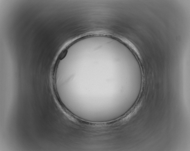 X0000111680989200907241229