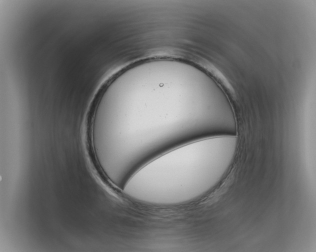 X0000111680991200907241229