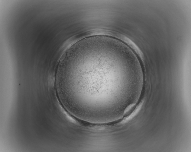 X0000111680993200907241229