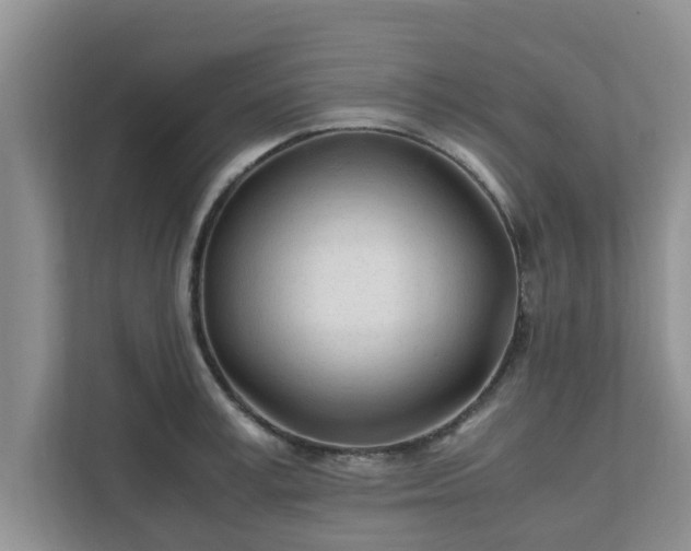 X0000111680995200907241229