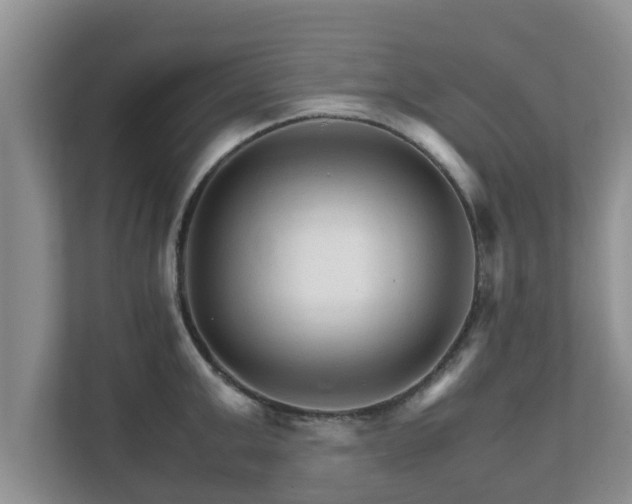 X0000111680999200907241229