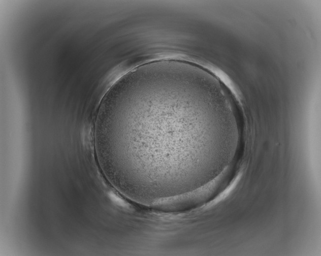 X0000111681001200907241229