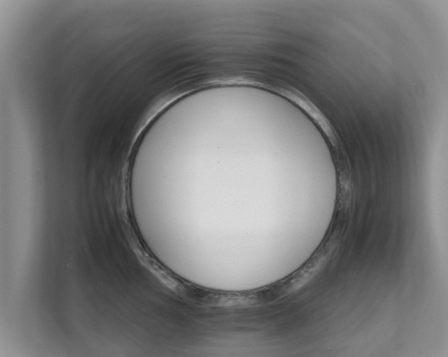 X0000111681002200907241229