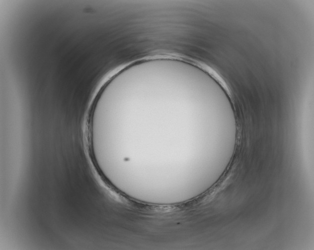 X0000111681003200907241229