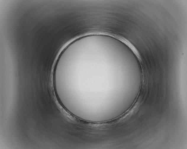 X0000111681004200907241229