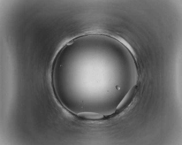 X0000111681005200907241229