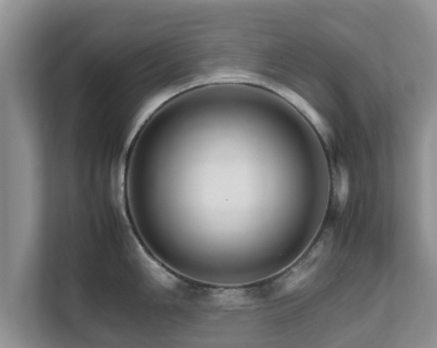 X0000111681006200907241229