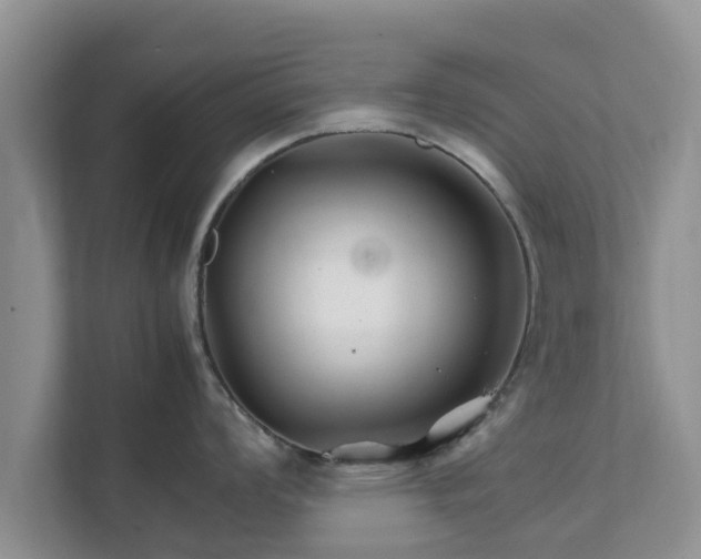 X0000111681008200907241229