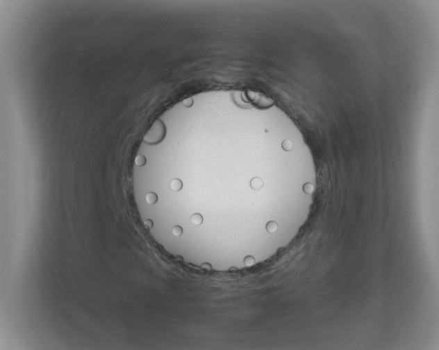 X0000111681009200907241228