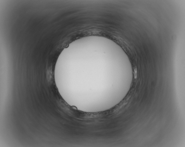 X0000111681011200907241228