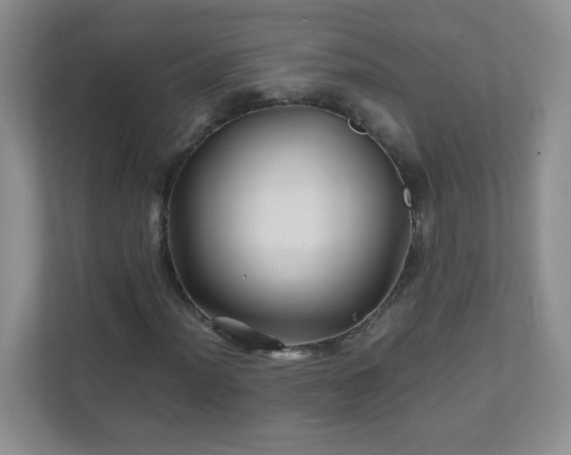 X0000111681012200907241228