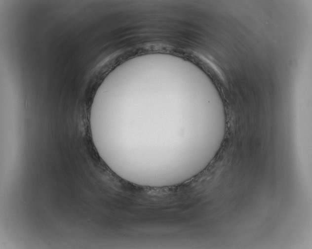 X0000111681015200907241228