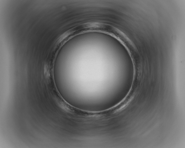 X0000111681017200907241228