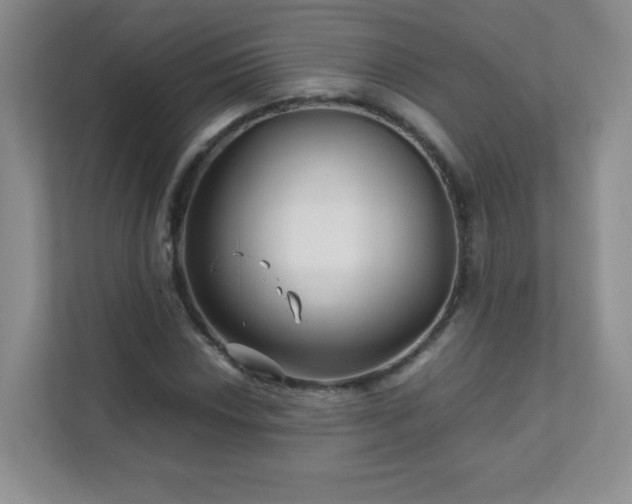 X0000111681018200907241228