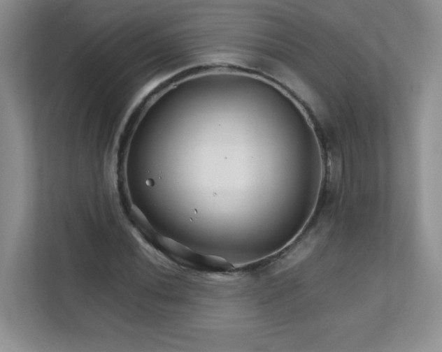 X0000111681020200907241228