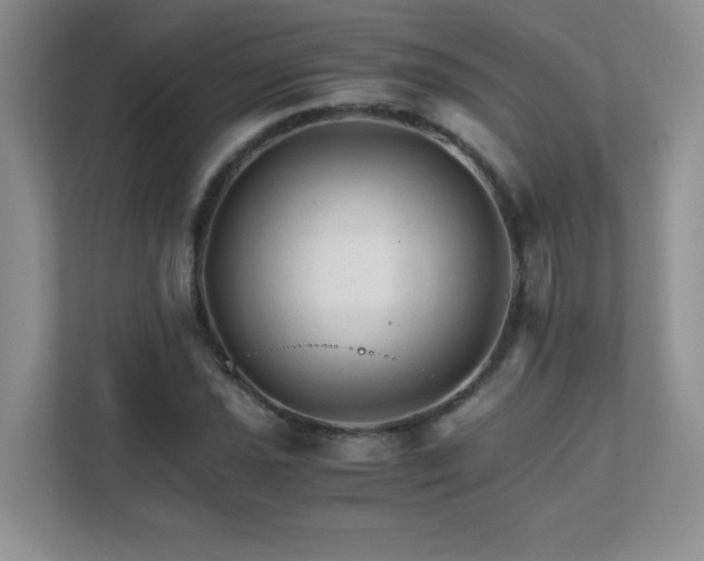 X0000111681021200907241228