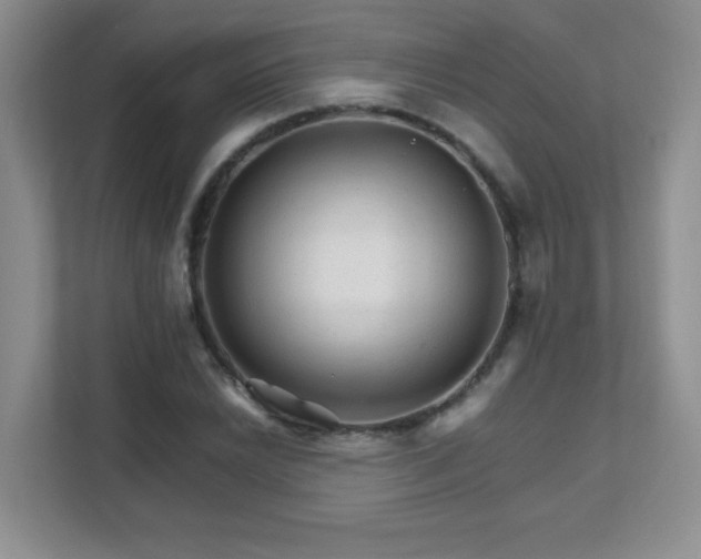 X0000111681022200907241228