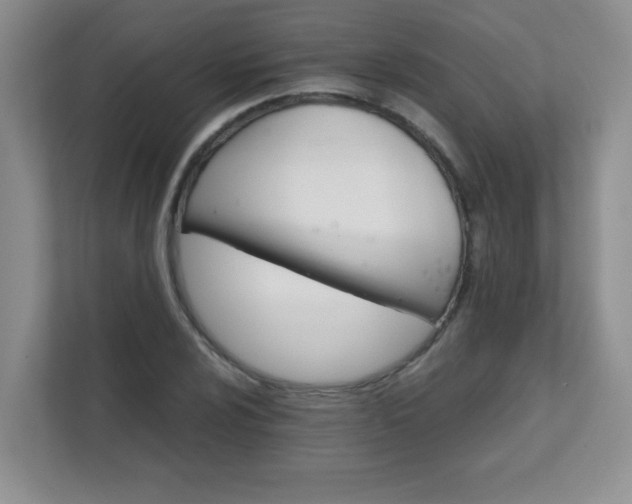 X0000111681024200907241228