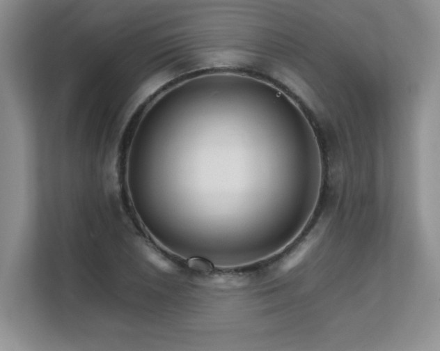 X0000111681026200907241228