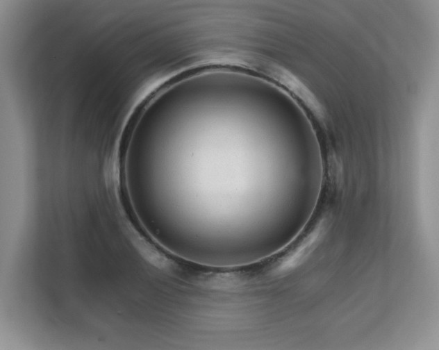 X0000111681028200907241228