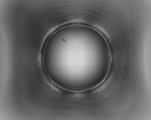 X0000111681029200907241228