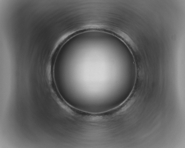 X0000111681030200907241228