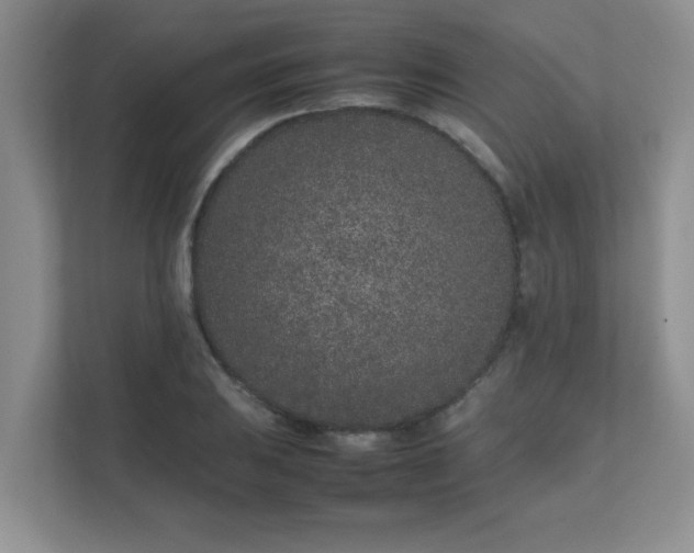 X0000111681031200907241228