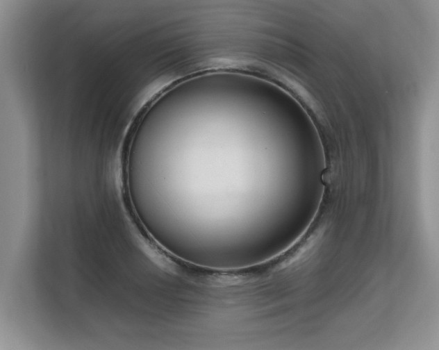 X0000111681034200907241228