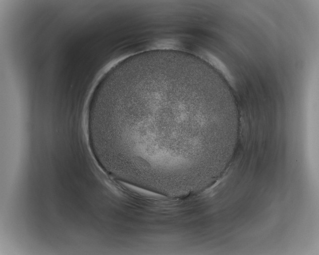 X0000111681035200907241228