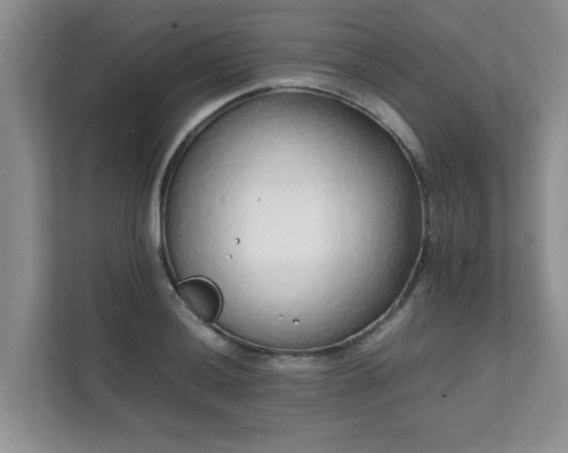 X0000111681036200907241228