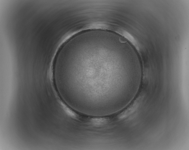 X0000111681037200907241229