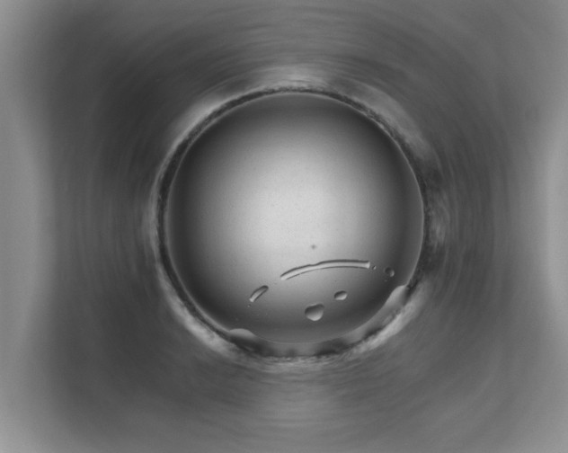 X0000111681038200907241229