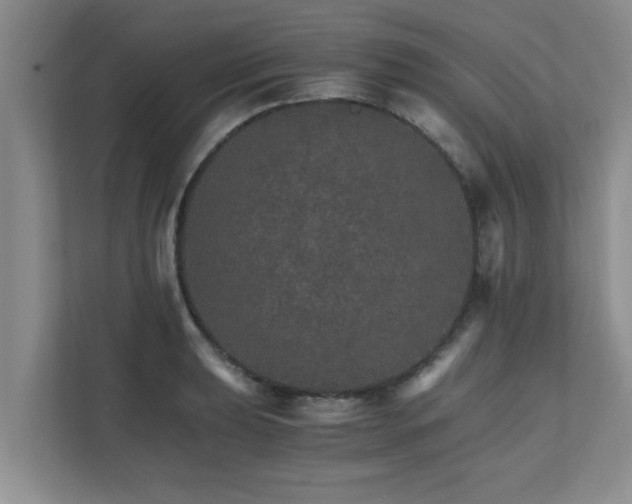 X0000111681039200907241229