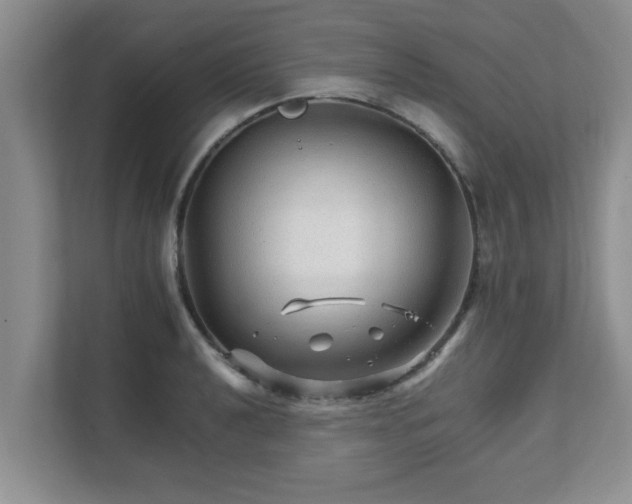 X0000111681040200907241229