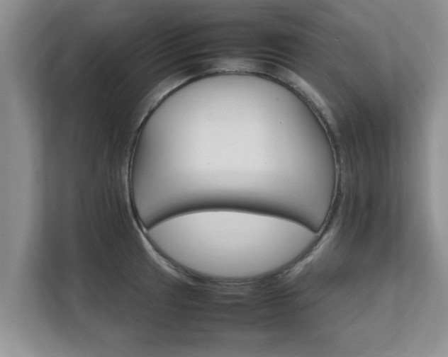 X0000111681041200907241229