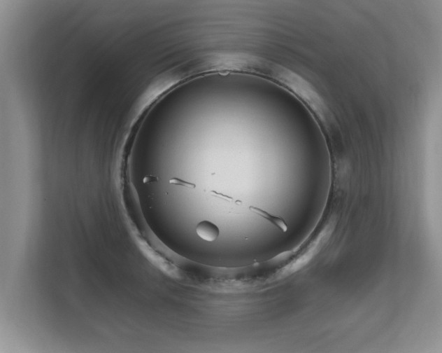 X0000111681042200907241229