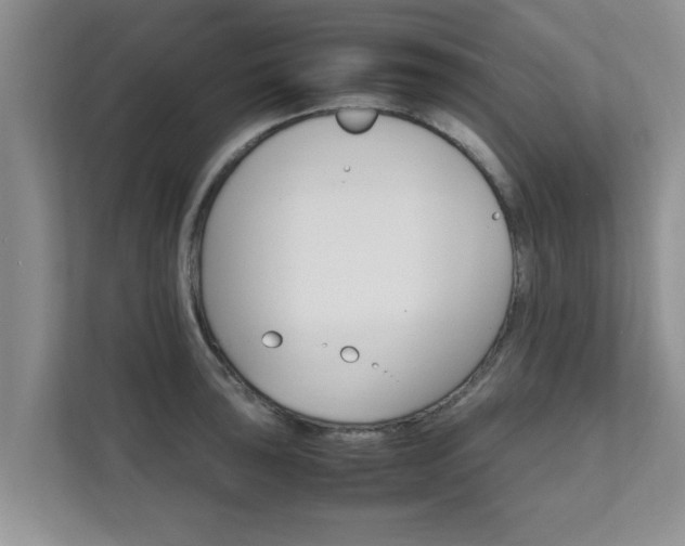 X0000111681043200907241229