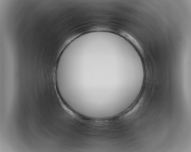 X0000111681049200907241229