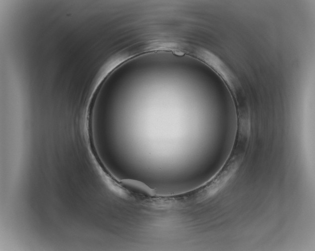 X0000111681050200907241229