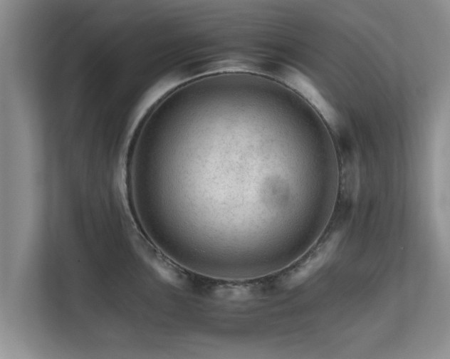 X0000111681051200907241229