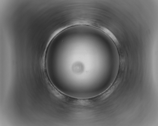 X0000111681052200907241229