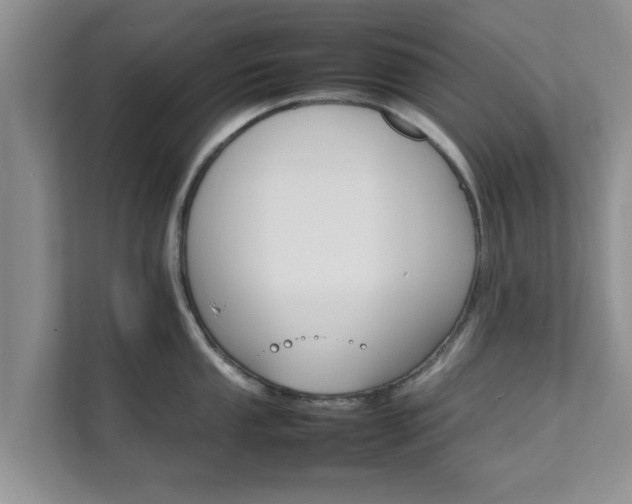 X0000111681053200907241229