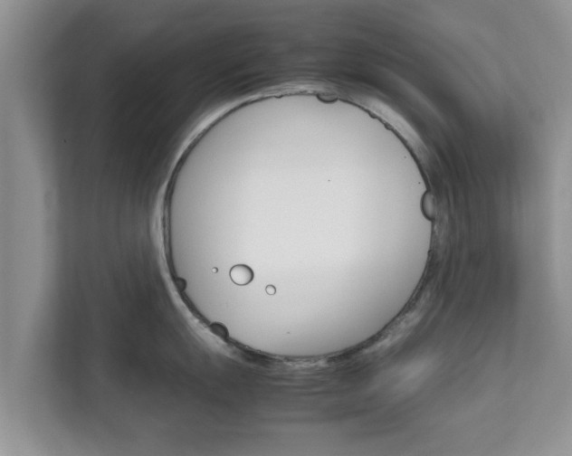 X0000111681055200907241229